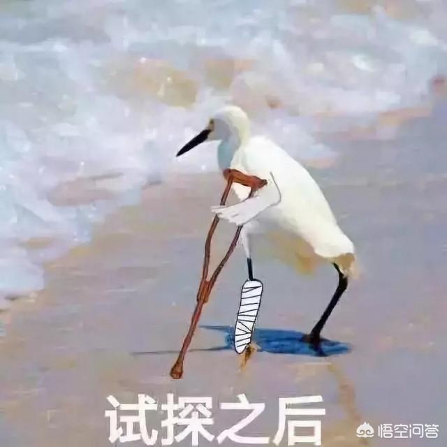 有哪些出国留学阶段绝对不能碰的东西？