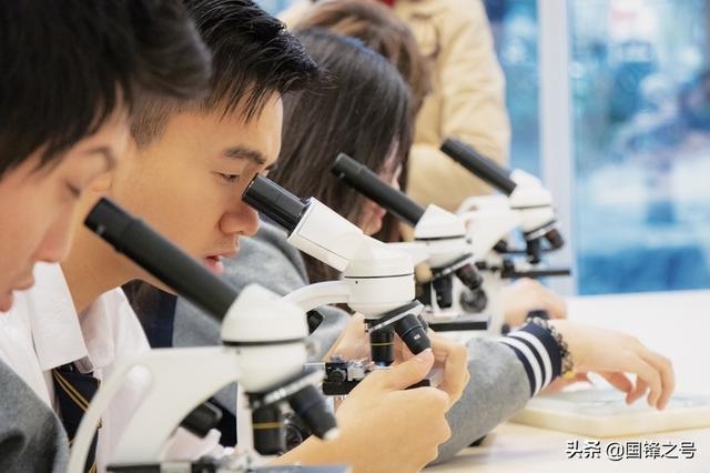 怎样看待高中出国留学？