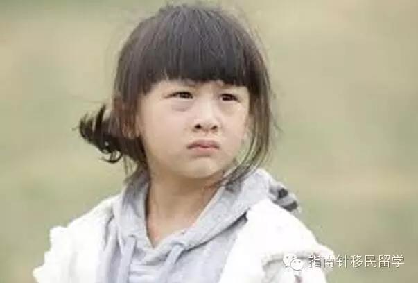 在外国学生眼中，中国留学生是一个什么样的群体？