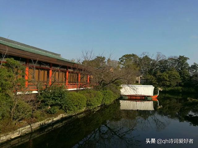 如果你有要去日本的计划，你最先想要了解什么？