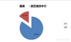 通过中介和纯靠自己申请留学，各自的利弊是什